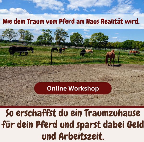 #online Workshop zur Offenstellplanung